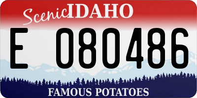 ID license plate E080486