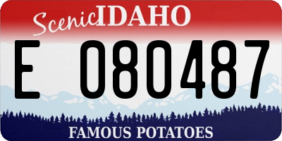 ID license plate E080487