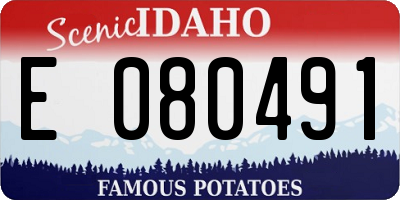 ID license plate E080491