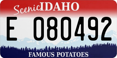 ID license plate E080492