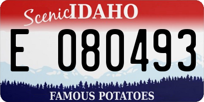 ID license plate E080493