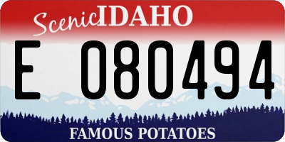 ID license plate E080494