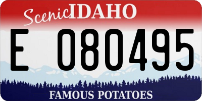 ID license plate E080495