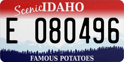 ID license plate E080496