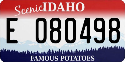 ID license plate E080498