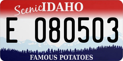 ID license plate E080503