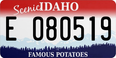 ID license plate E080519