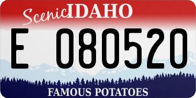 ID license plate E080520