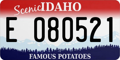 ID license plate E080521