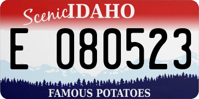 ID license plate E080523