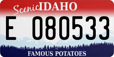 ID license plate E080533
