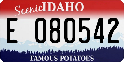 ID license plate E080542