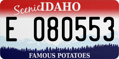 ID license plate E080553