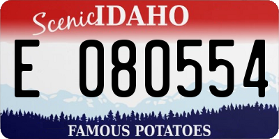 ID license plate E080554