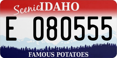 ID license plate E080555