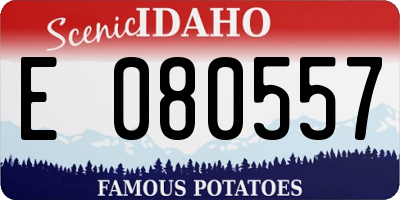 ID license plate E080557