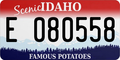 ID license plate E080558