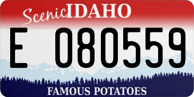 ID license plate E080559