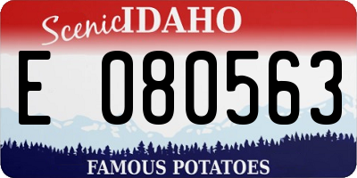ID license plate E080563
