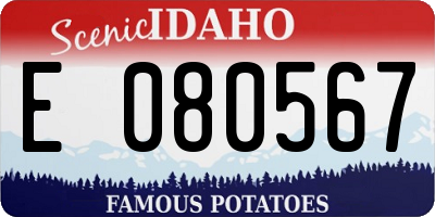 ID license plate E080567