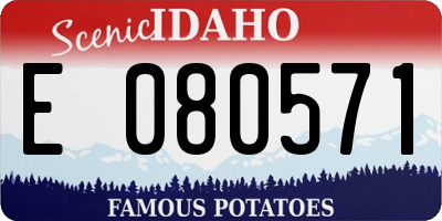 ID license plate E080571