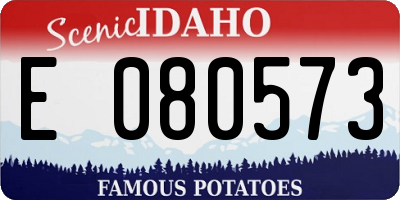 ID license plate E080573