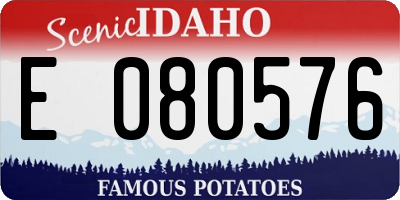 ID license plate E080576