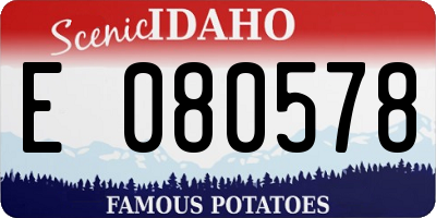 ID license plate E080578