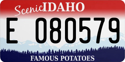 ID license plate E080579