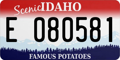ID license plate E080581
