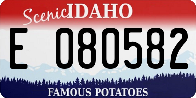 ID license plate E080582