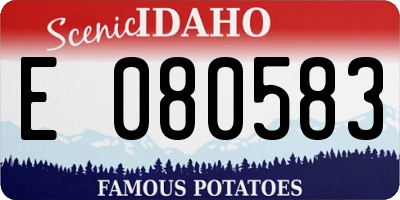 ID license plate E080583