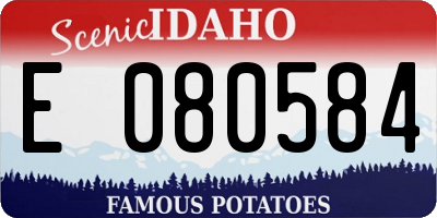 ID license plate E080584