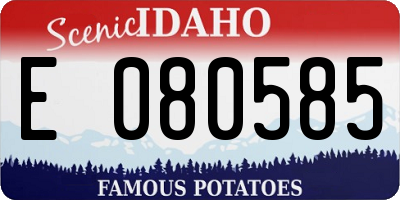 ID license plate E080585