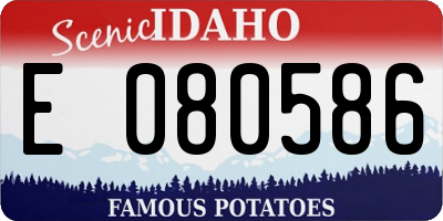 ID license plate E080586