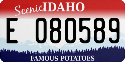 ID license plate E080589