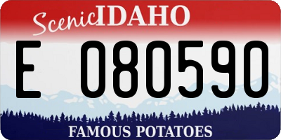 ID license plate E080590