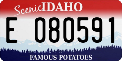 ID license plate E080591