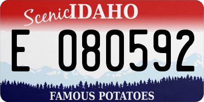 ID license plate E080592