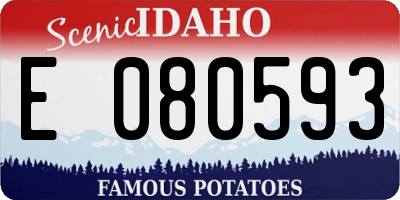 ID license plate E080593