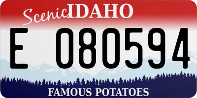 ID license plate E080594