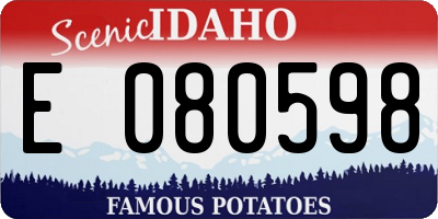 ID license plate E080598