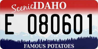 ID license plate E080601