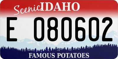 ID license plate E080602