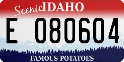 ID license plate E080604