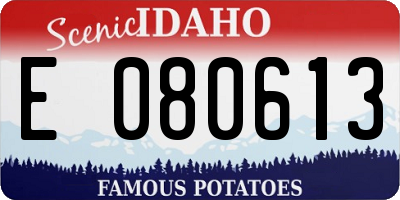 ID license plate E080613