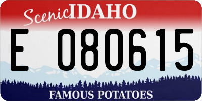 ID license plate E080615