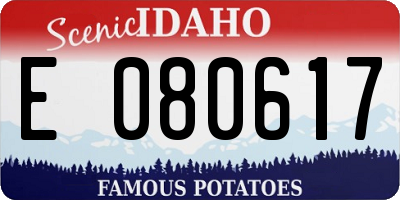 ID license plate E080617
