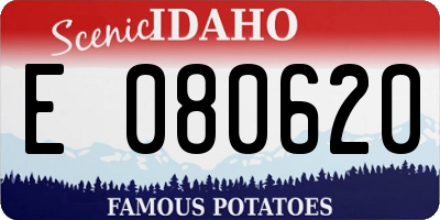 ID license plate E080620