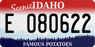 ID license plate E080622